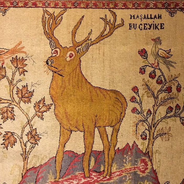 "Maşallah Bu Geyike"